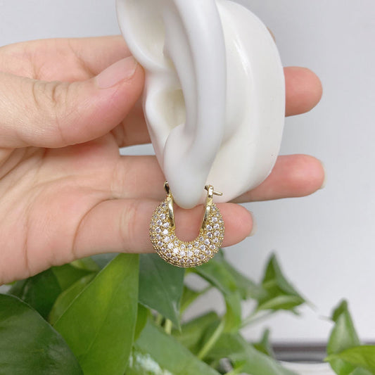 Versatile Glamour earrings